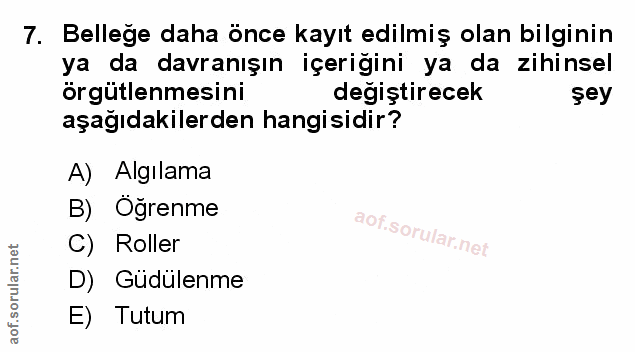 Soru 7