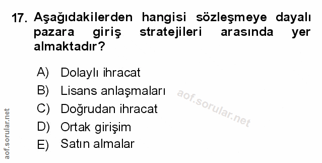 Soru 17