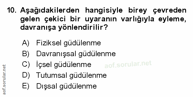 Soru 10