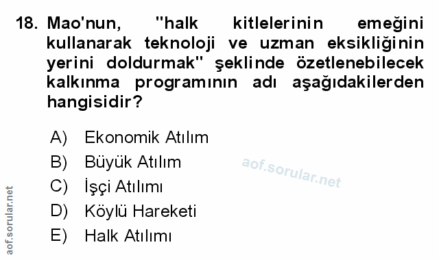 Soru 18