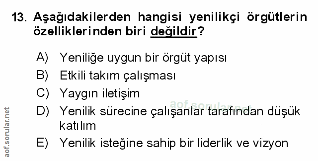 Soru 13