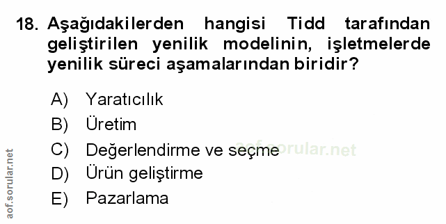 Soru 18