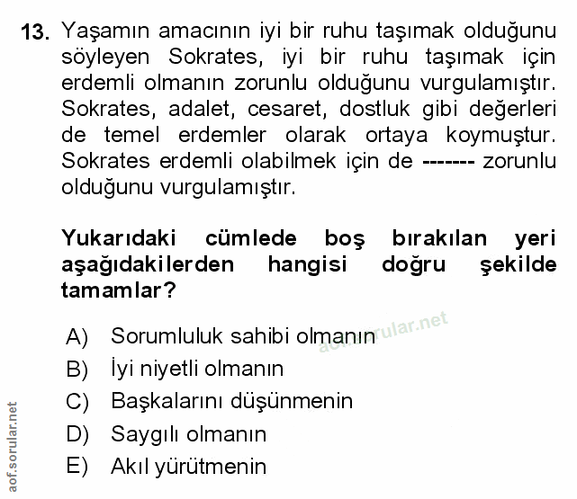Soru 13
