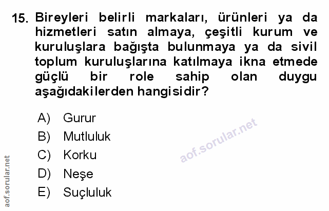Soru 15