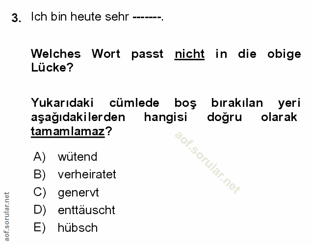 Soru 3