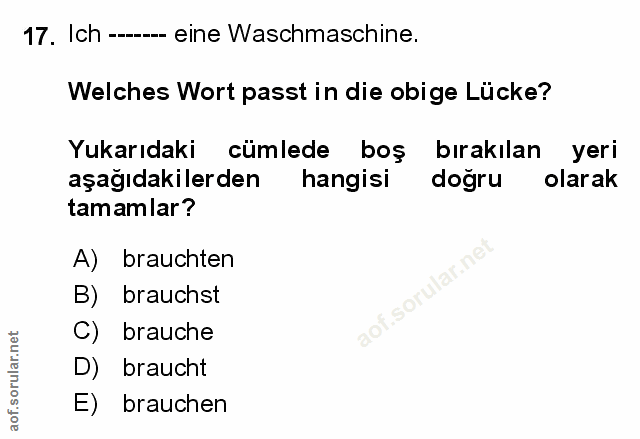 Soru 17