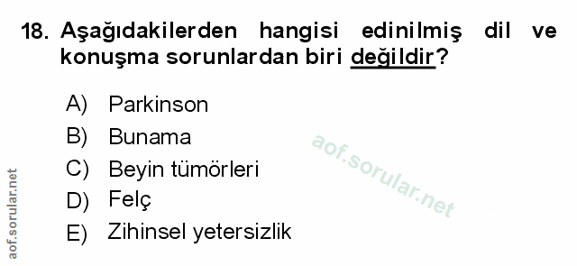 Soru 18
