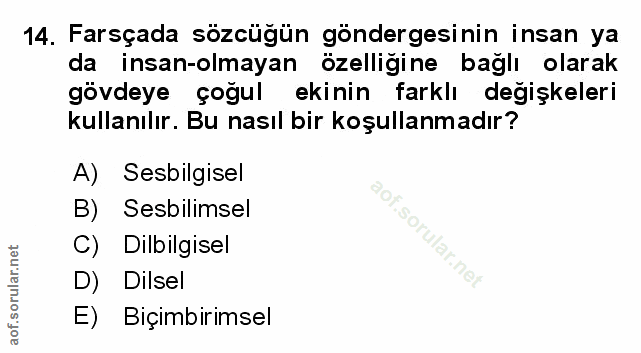 Soru 14