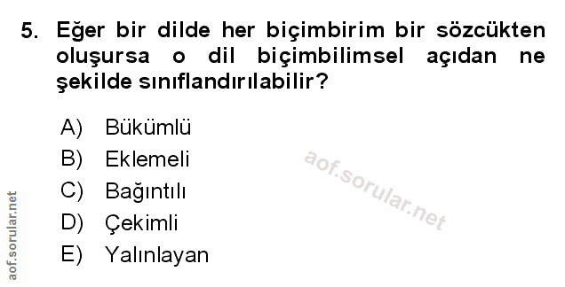 Soru 5