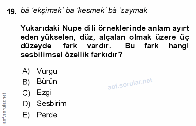Soru 19