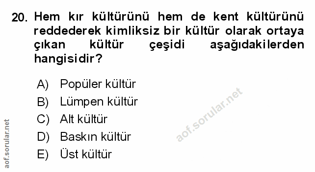 Soru 20