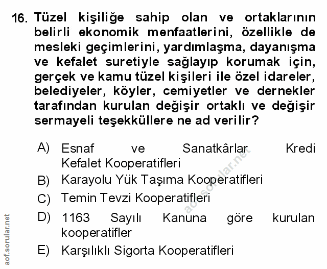 Soru 16
