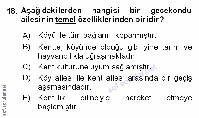Soru 18