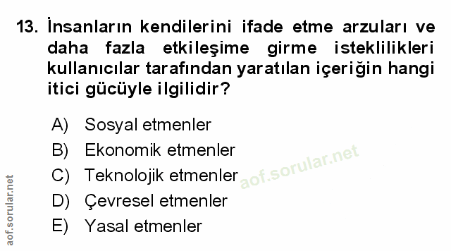 Soru 13