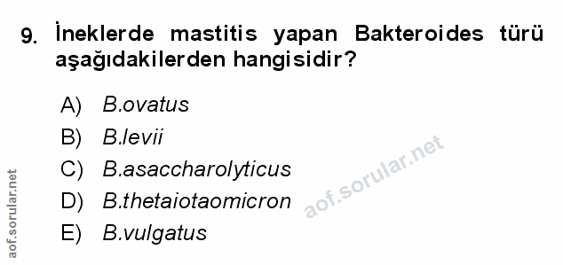 Soru 9