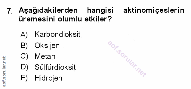 Soru 7