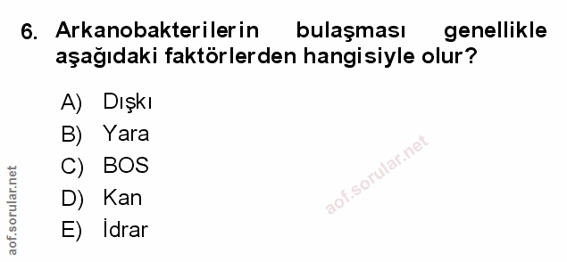 Soru 6