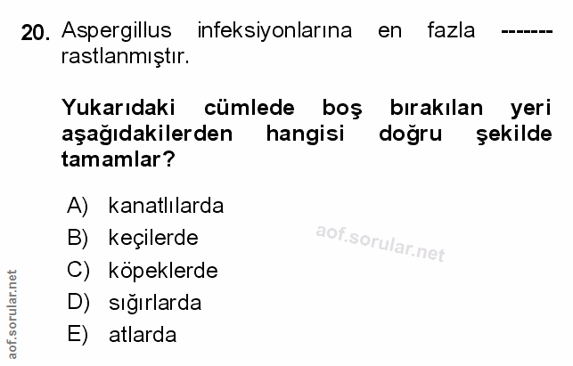 Soru 20