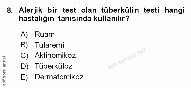 Soru 8