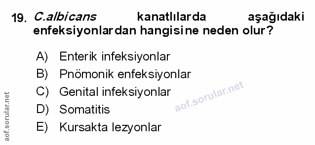 Soru 19