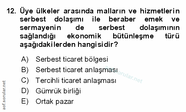 Soru 12