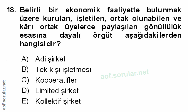 Soru 18
