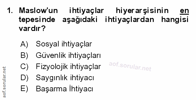 Soru 1