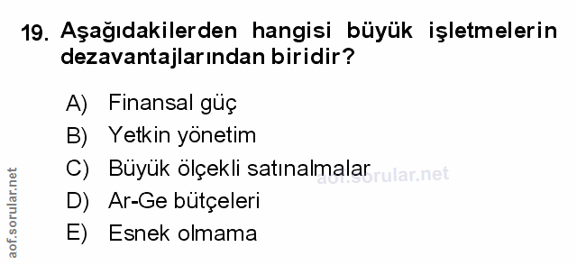 Soru 19