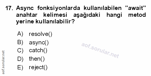 Soru 17