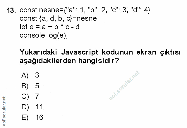 Soru 13