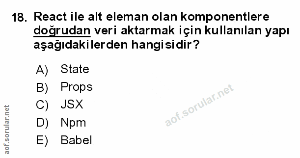 Soru 18