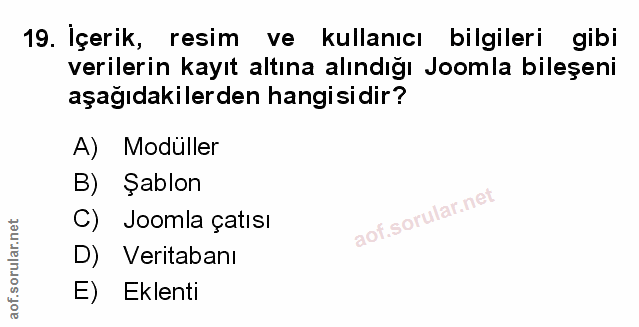 Soru 19