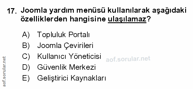Soru 17