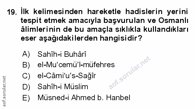 Soru 19