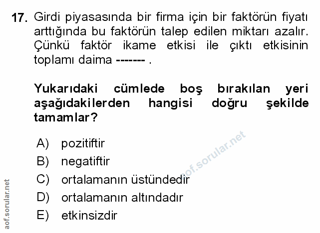 Soru 17