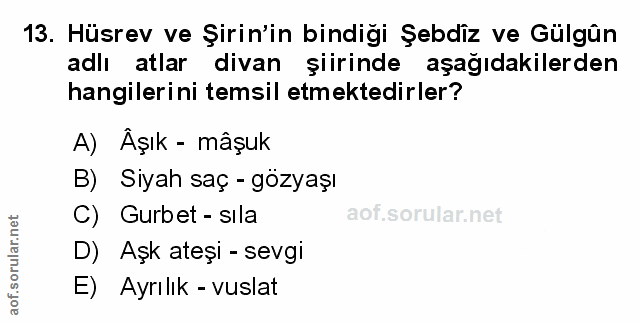 Soru 13