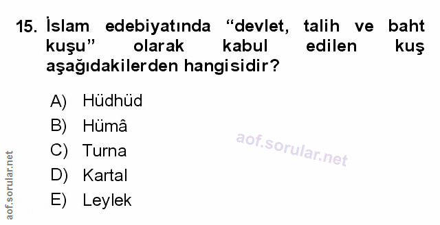 Soru 15