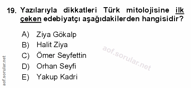 Soru 19