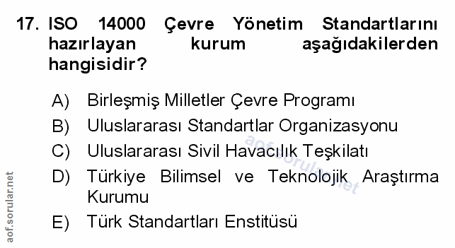 Soru 17