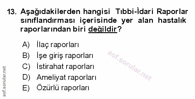 Soru 13
