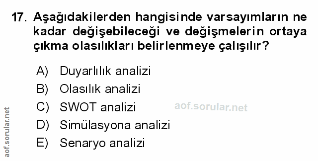 Soru 17