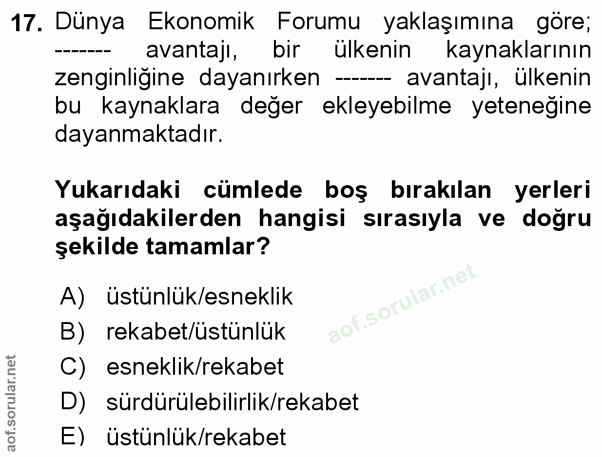 Soru 17