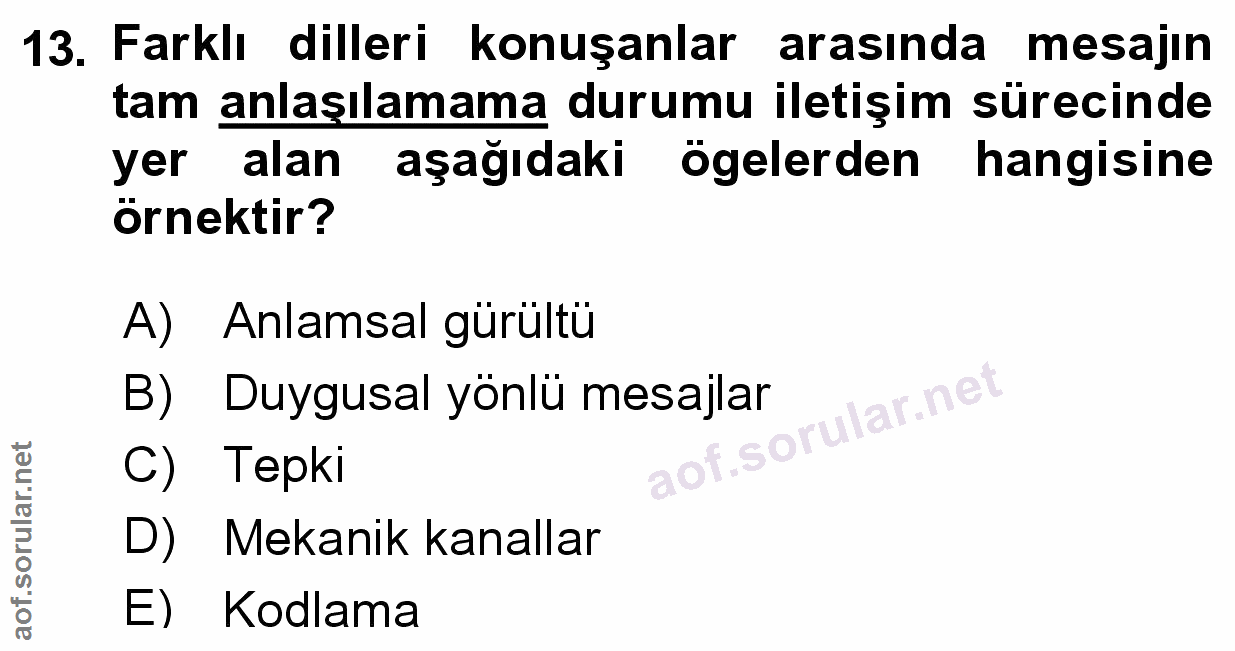 Soru 13
