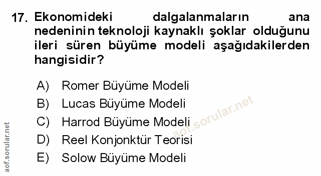 Soru 17