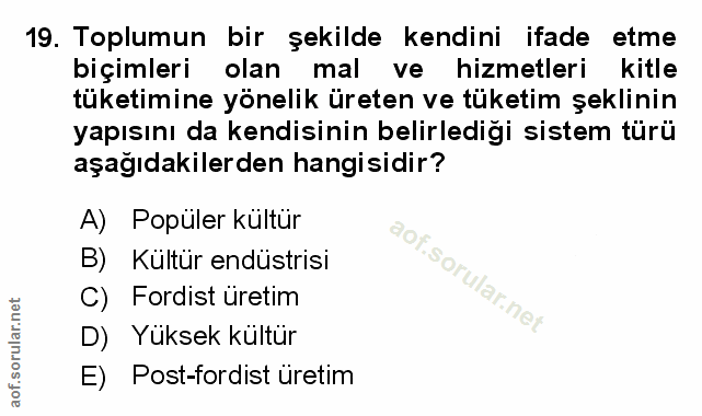 Soru 19