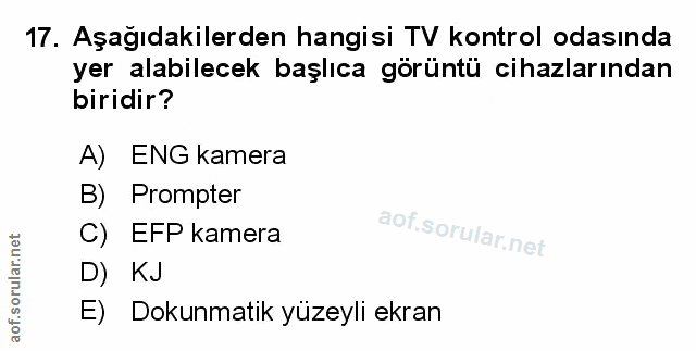 Soru 17