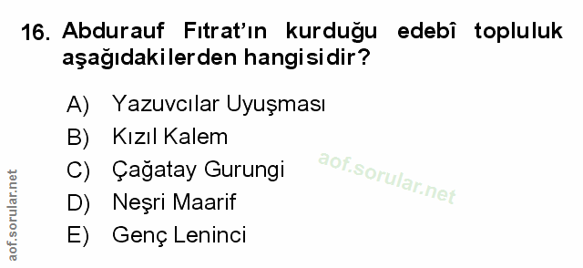 Soru 16