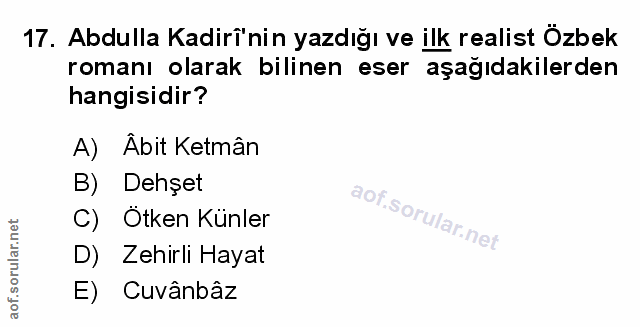 Soru 17