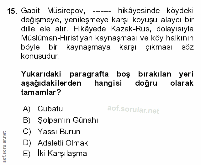 Soru 15