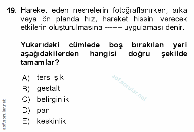 Soru 19